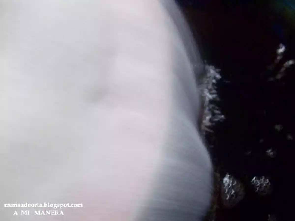 LICOR DE VINO A LA NARANJA - foto 6