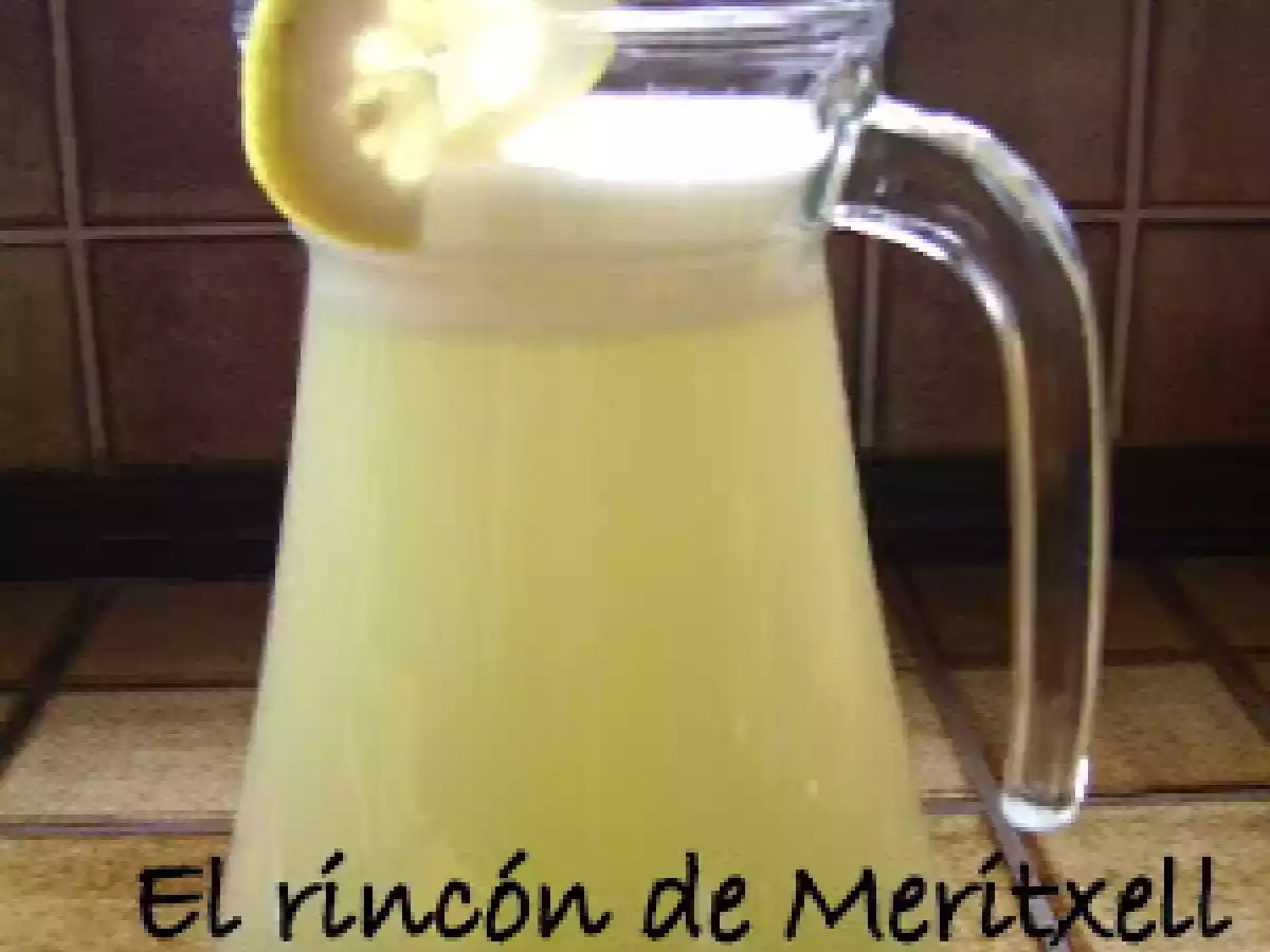 Limonada en Thermomix