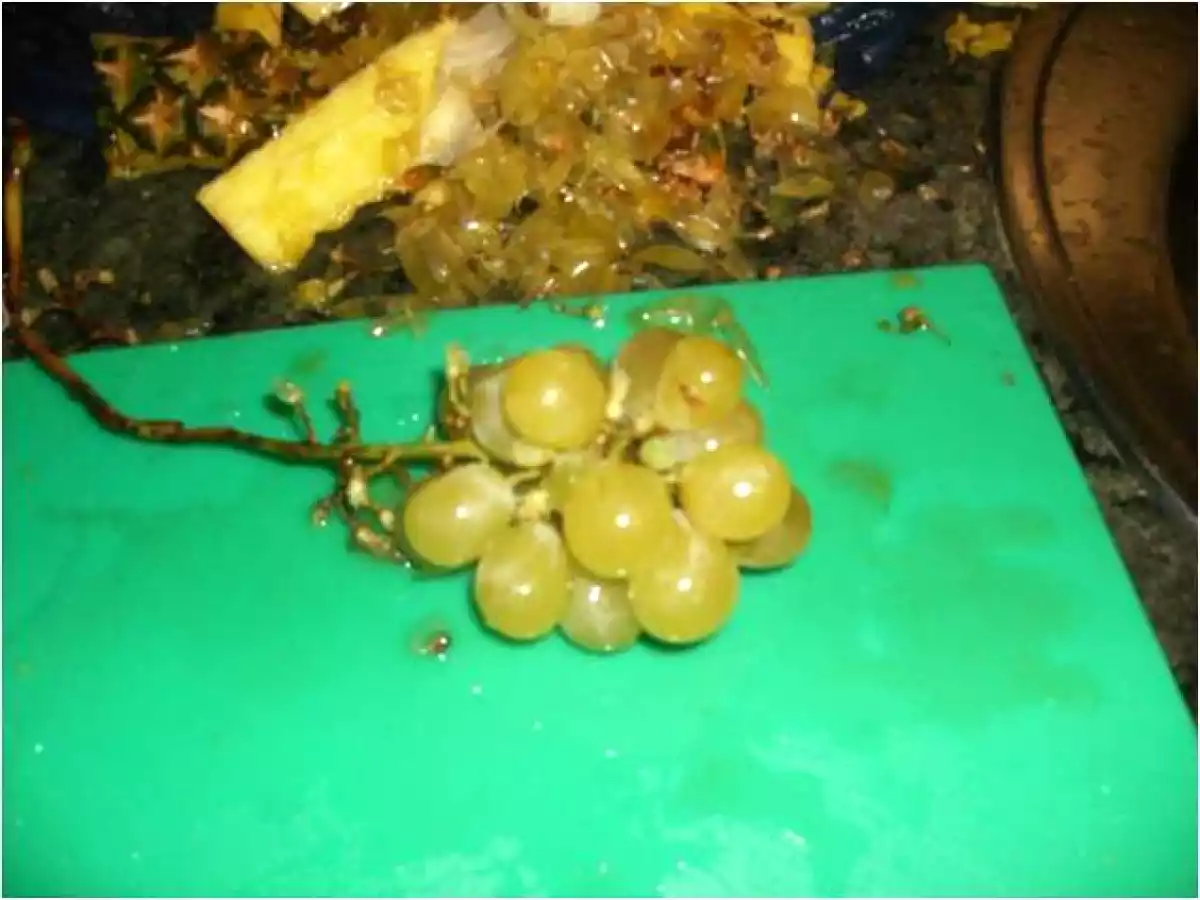 MACEDONIA DE FRUTAS - foto 9