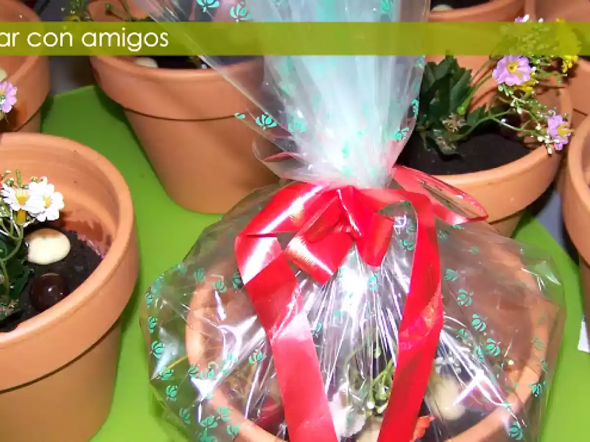 Macetas bizcocho de chocolate