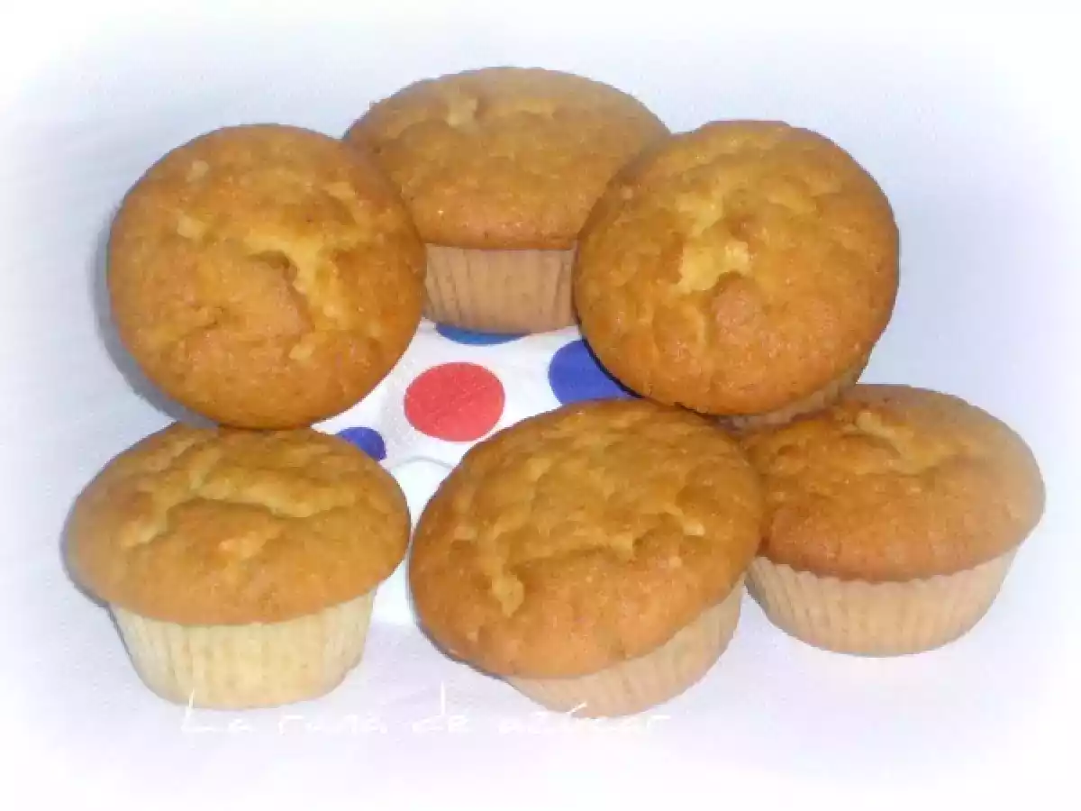 Magdalenas baja en grasa