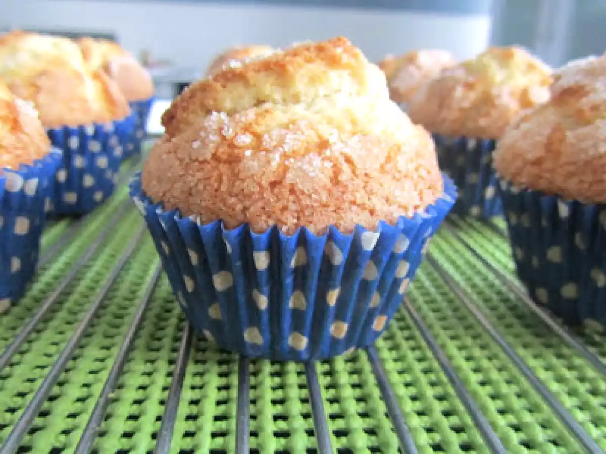 Magdalenas Clásicas - foto 2