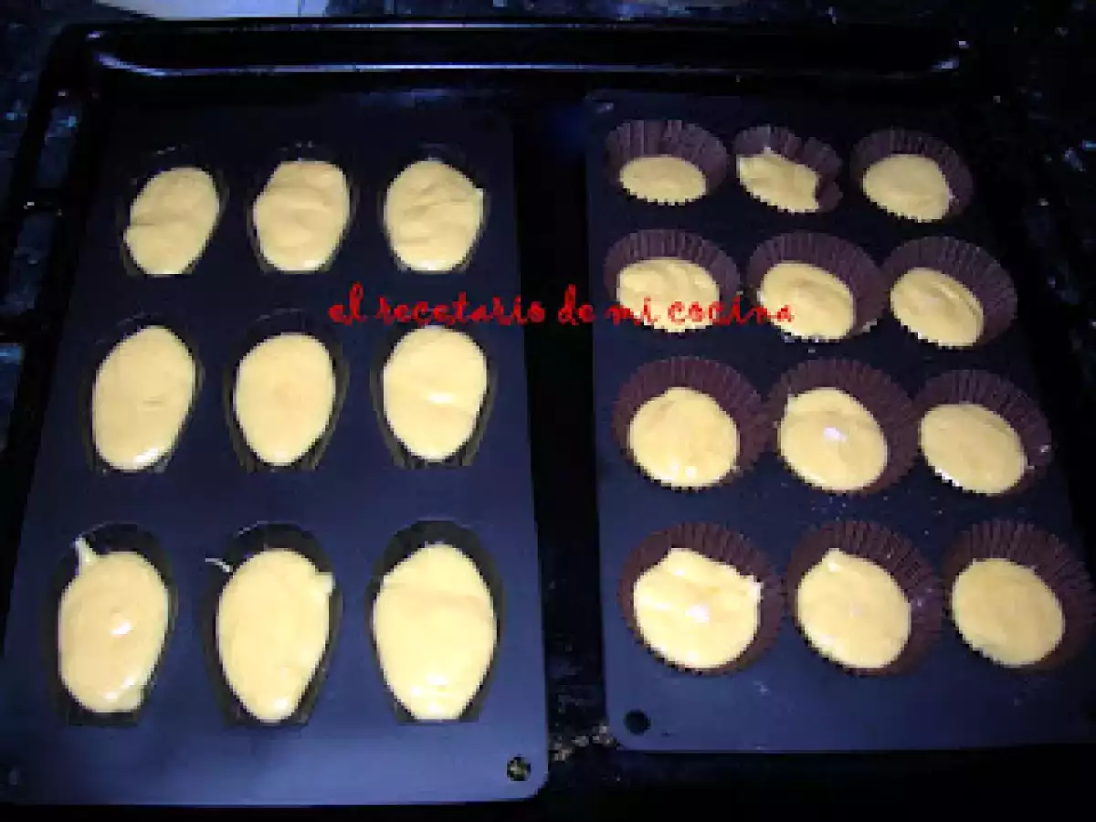 MAGDALENAS CONCHA O MADELEINE DE COMMERCY