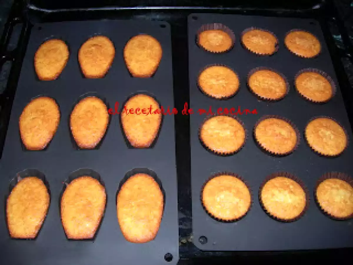 MAGDALENAS CONCHA O MADELEINE DE COMMERCY - foto 2