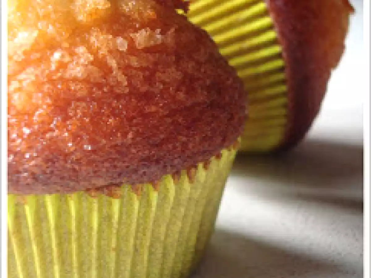 Magdalenas Xavier Barriga