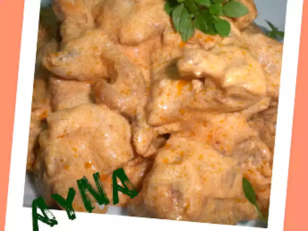 MAGRO DE PAVO EN SALSA DE TOMATE(FUSSIONCOOK) - foto 2