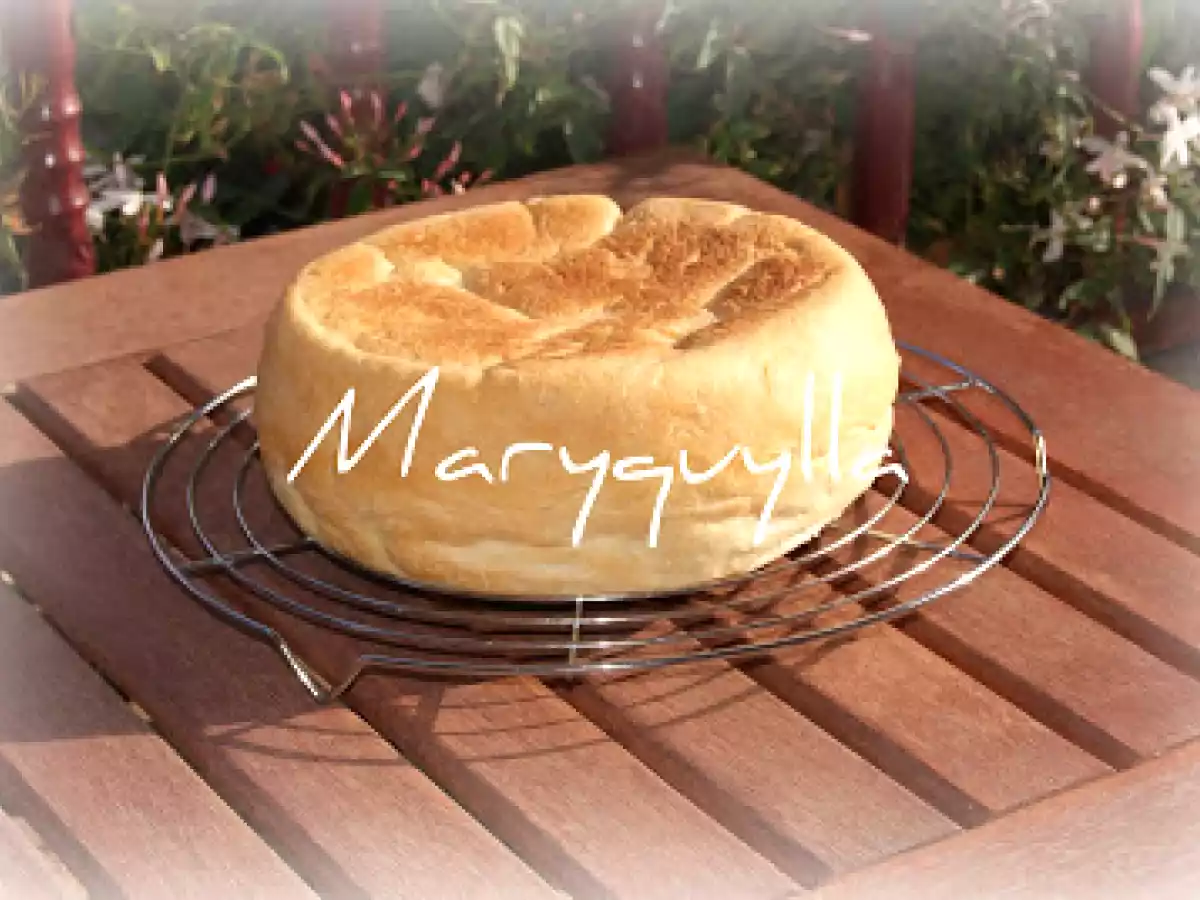 MASA DE PAN RAPIDA LIBRO THERMOMIX