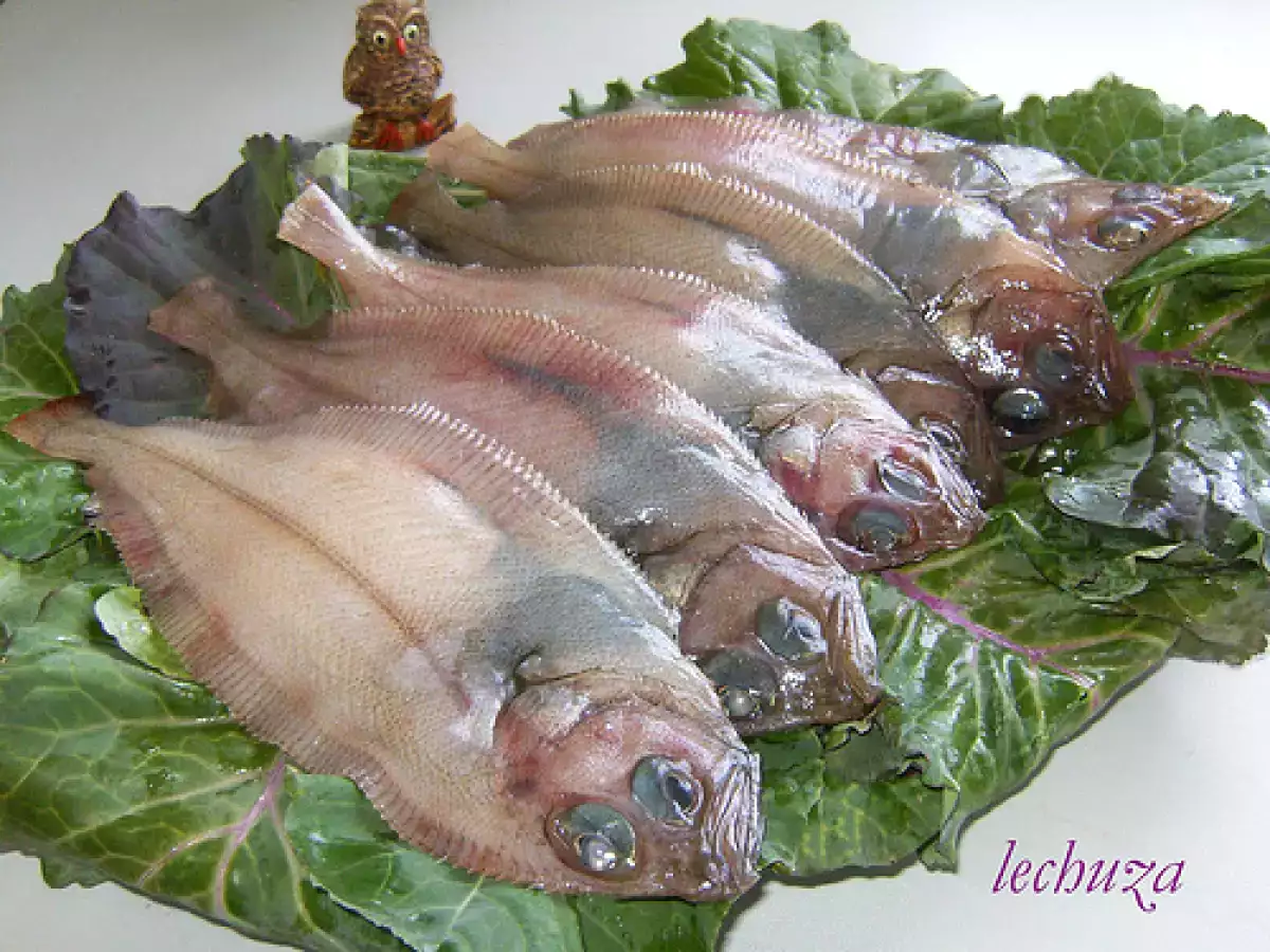 Meigas (gallo) fritas - foto 6