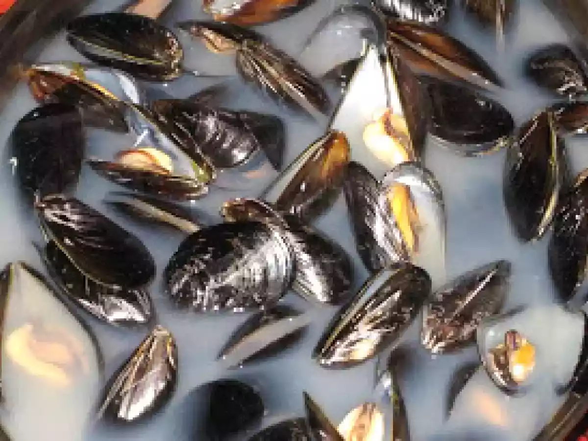 Mejillones al vapor picantes