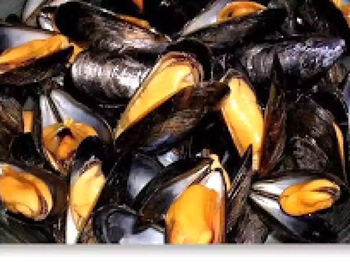 Mejillones de roca belgas