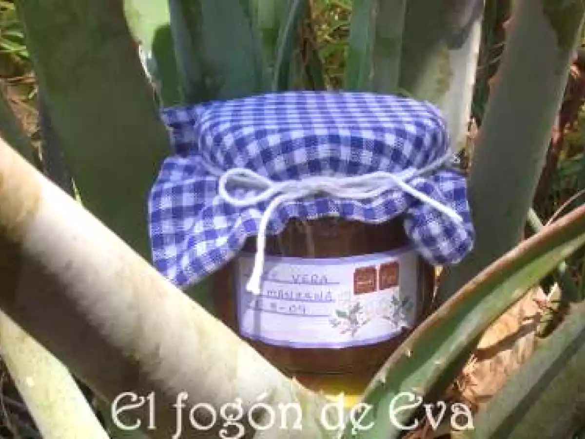MERMELADA DE ALOE VERA Y MANZANA