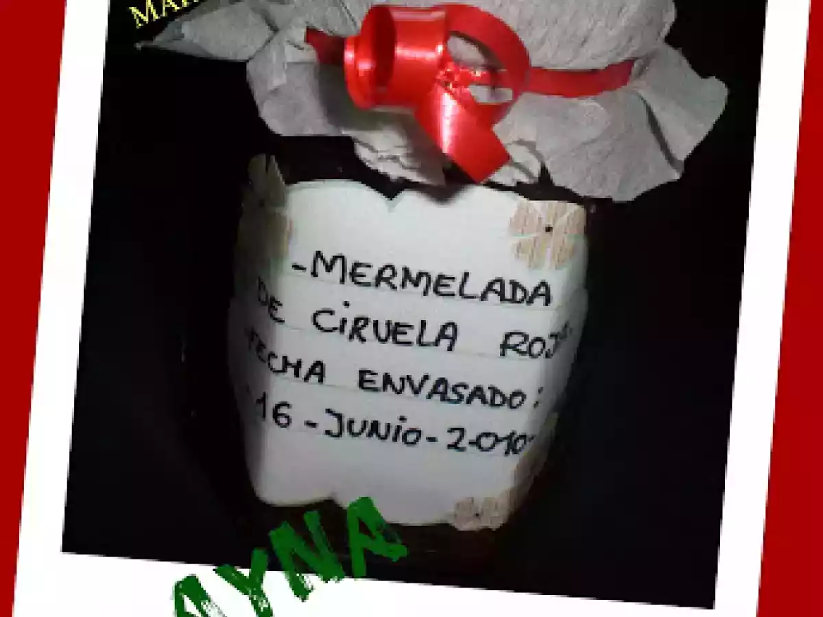 MERMELADA DE CIRUELA ROJA (THERMOMIX) - foto 2