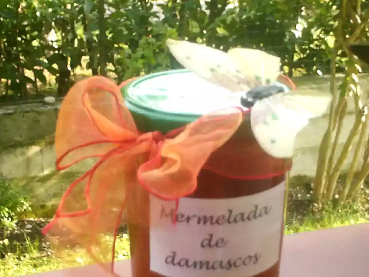 Mermelada de damascos secos