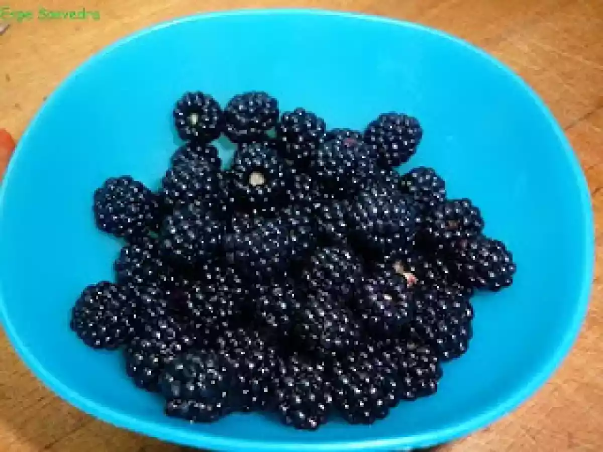 Mermelada de moras light - foto 2