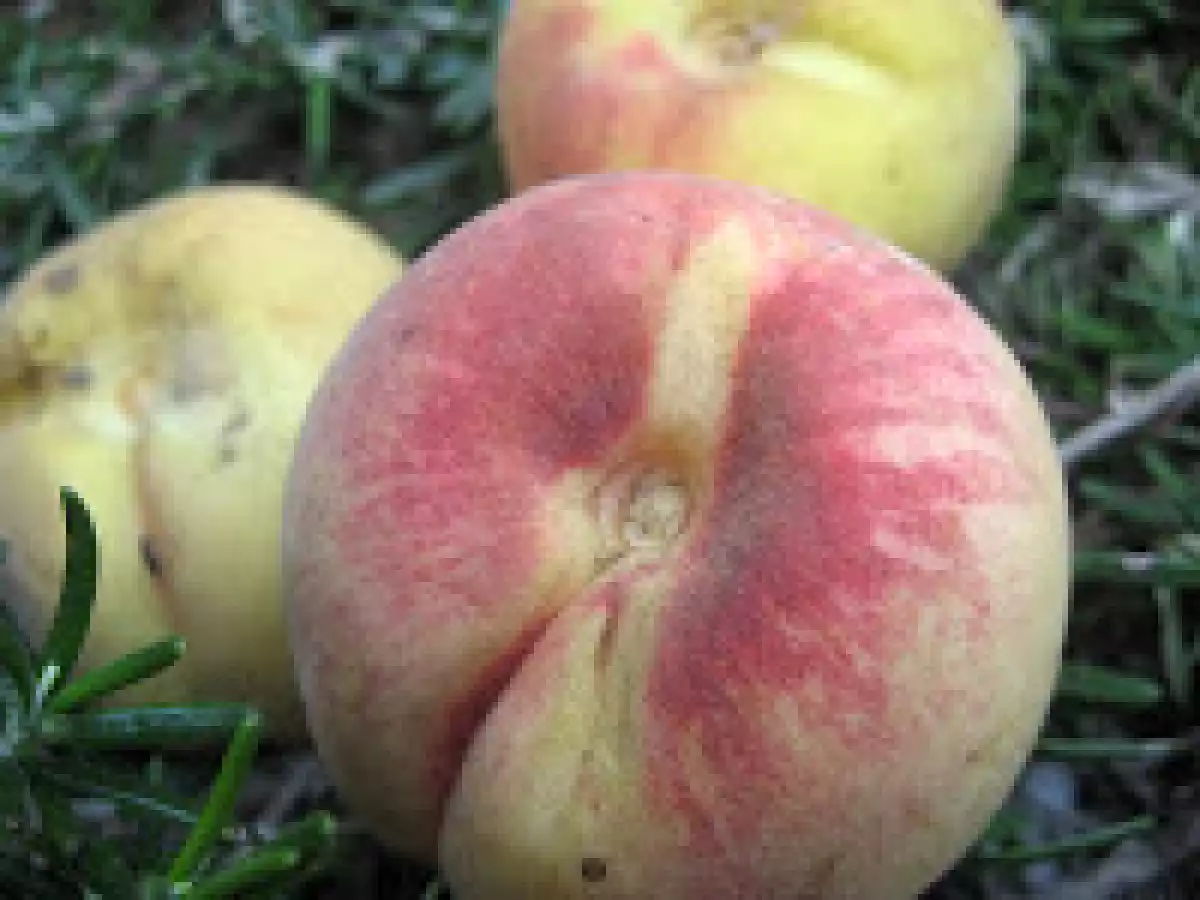 Mermelada de Pexegos - foto 3