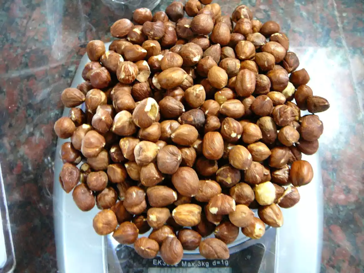 Mordisquitos - Osvaldo Gross - foto 15