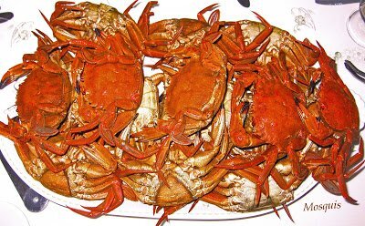 Necoras cocidas y deliciosas