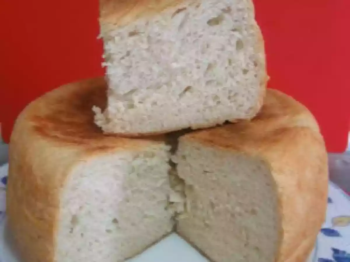 PAN CASERO FUSSION COOK Y THERMOMIX