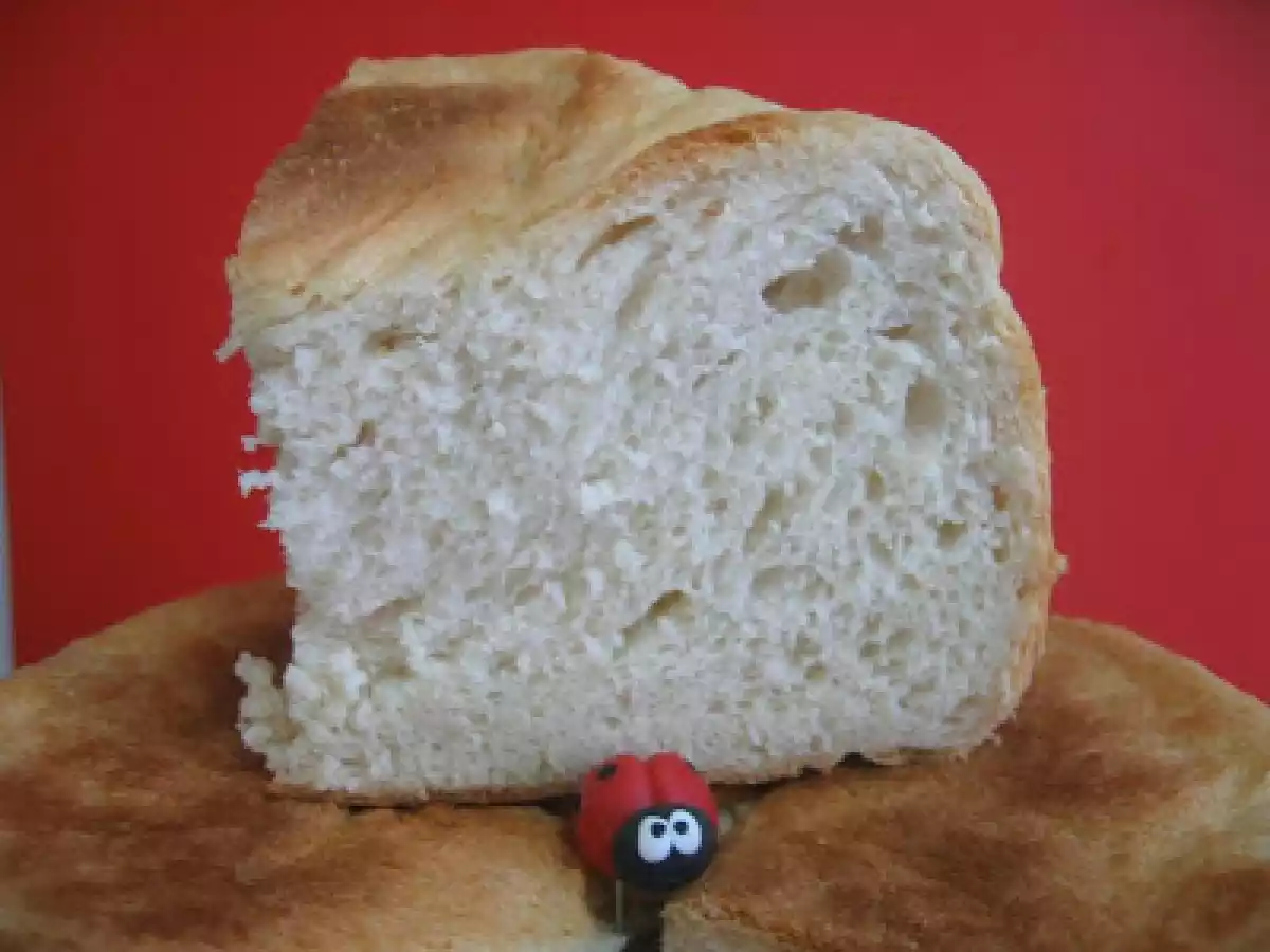 PAN CASERO FUSSION COOK Y THERMOMIX - foto 2