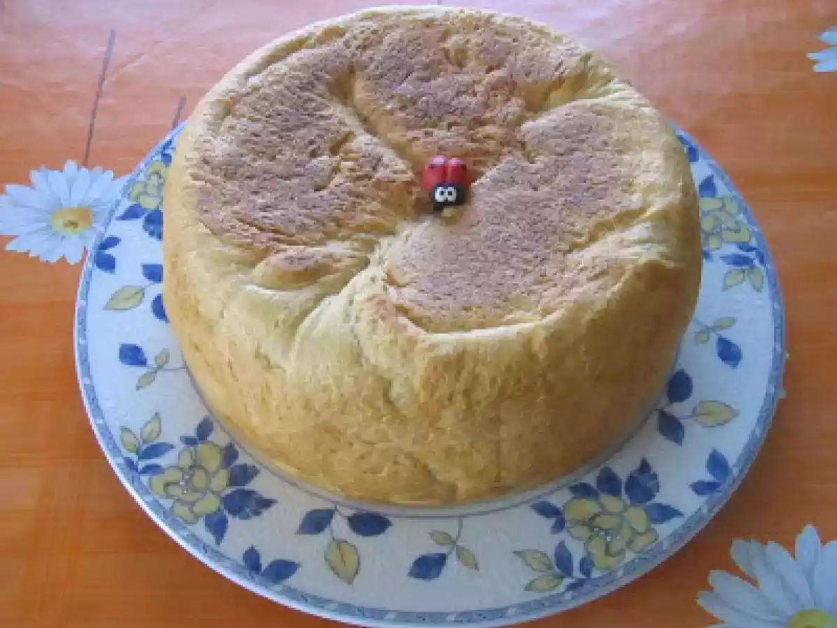 PAN CASERO FUSSION COOK Y THERMOMIX - foto 3