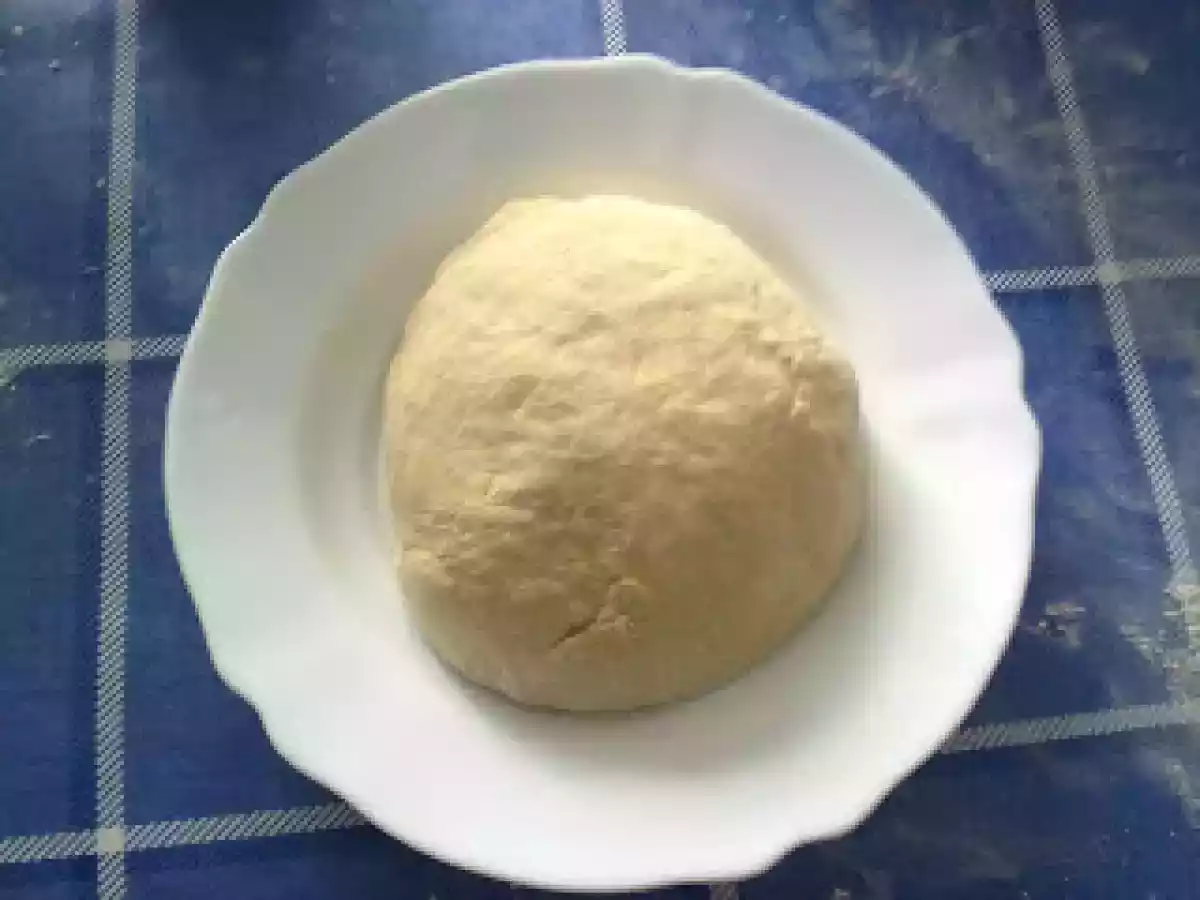 PAN CASERO...MI PRIMER PAN - foto 2