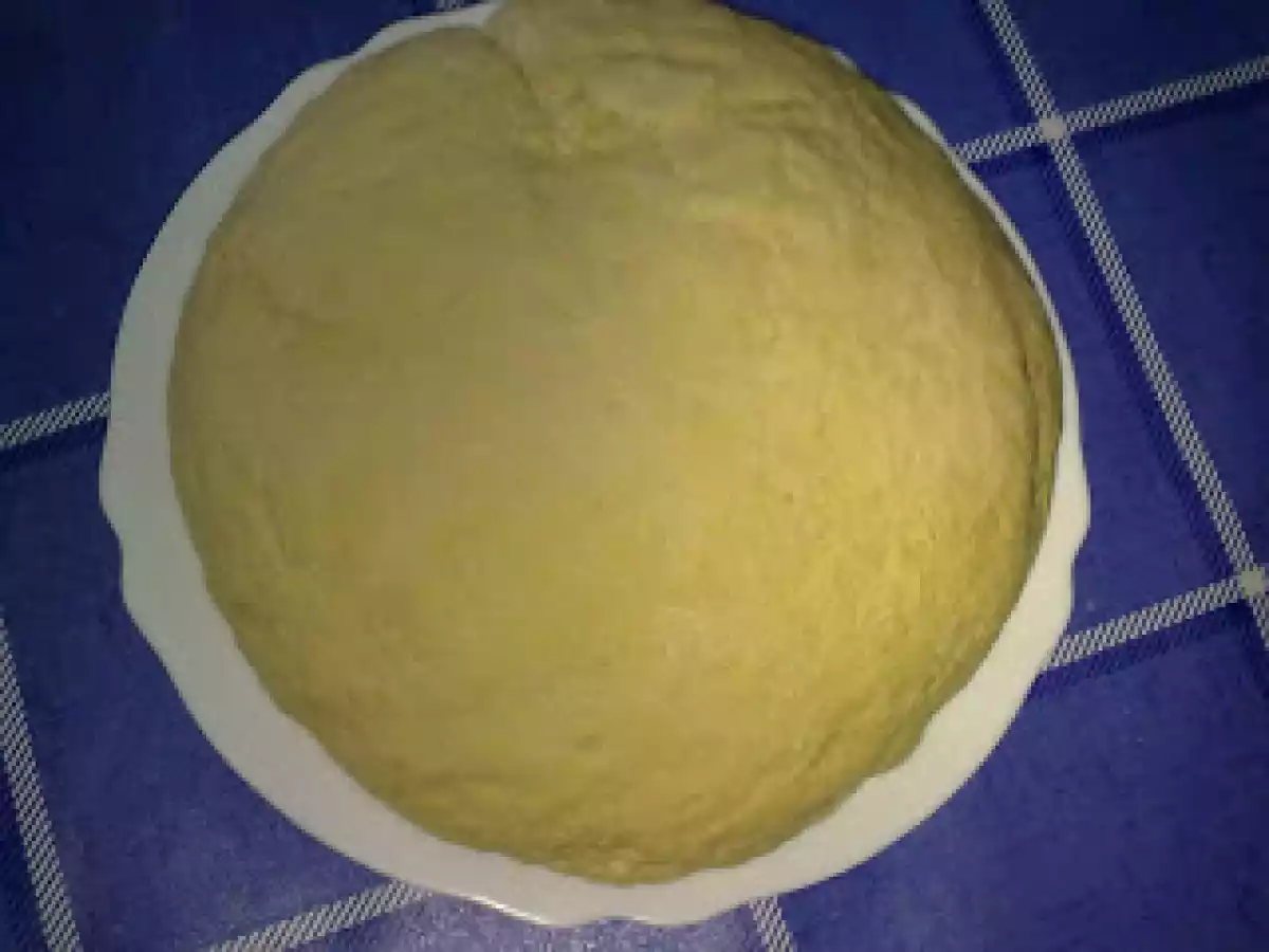 PAN CASERO...MI PRIMER PAN - foto 3