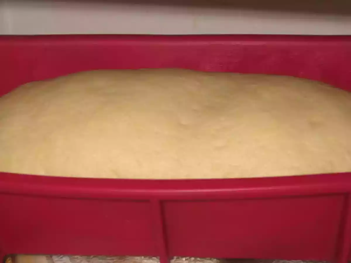 Pan Corteza Blanca en microondas - foto 4