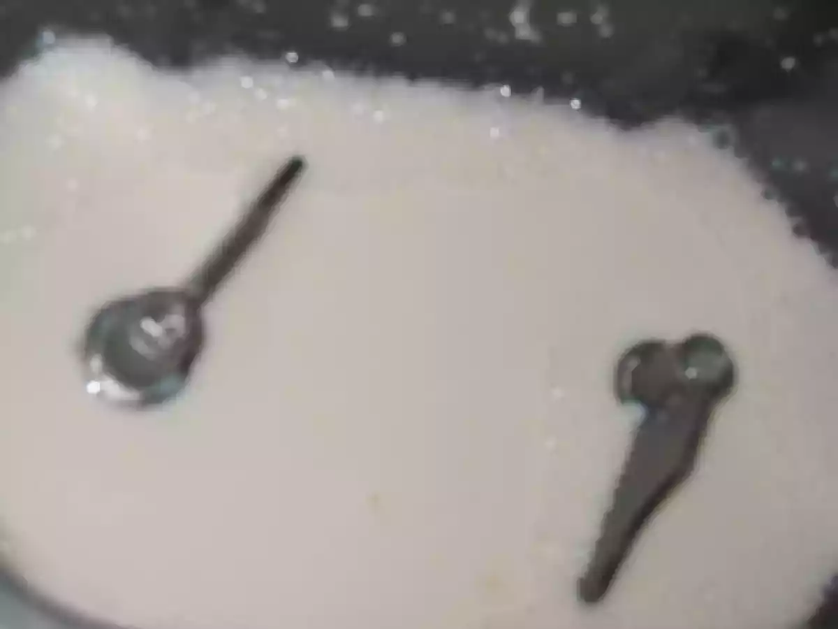 Pan Corteza Blanca en microondas - foto 8