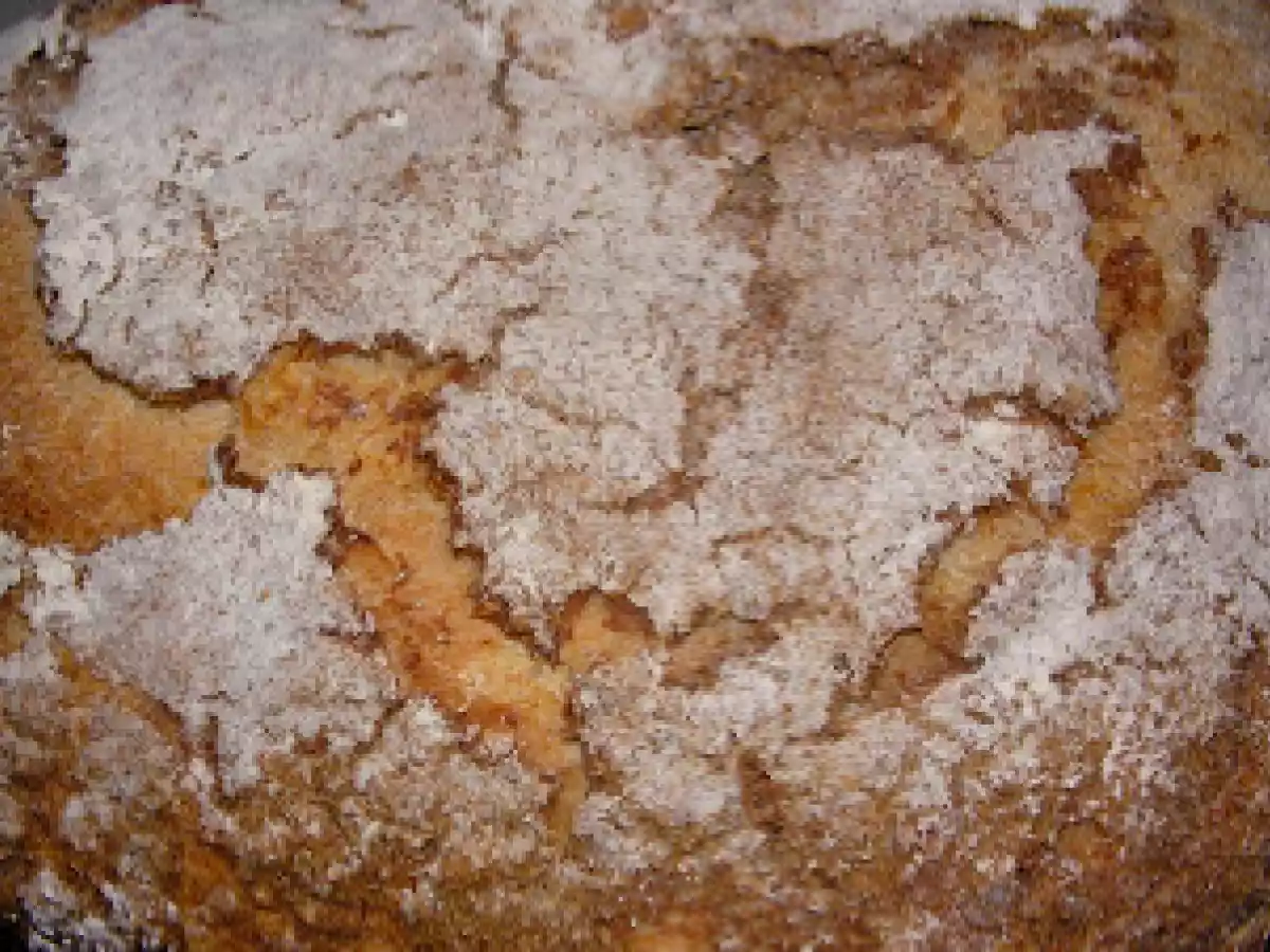 PAN DE CERVEZA NEGRA Y AVENA (DE XAVIER BARRIGA)