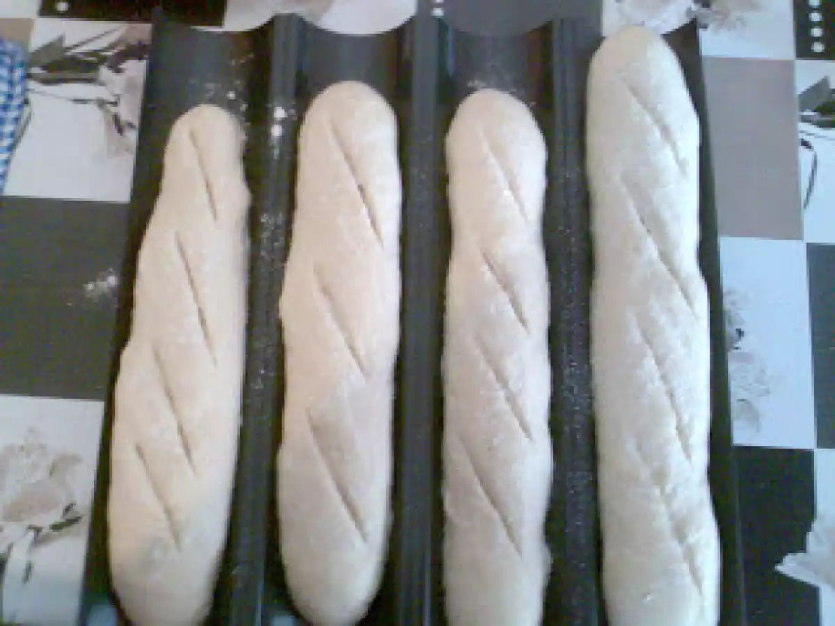 PAN DE FERMENTACION LENTA