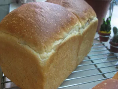 Pan de molde con queso crema y nueces, foto 2