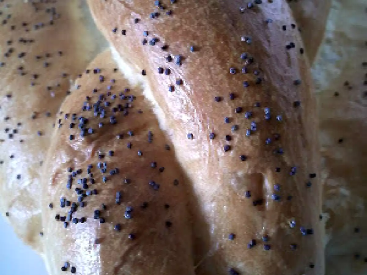 Pan del pastor - foto 3