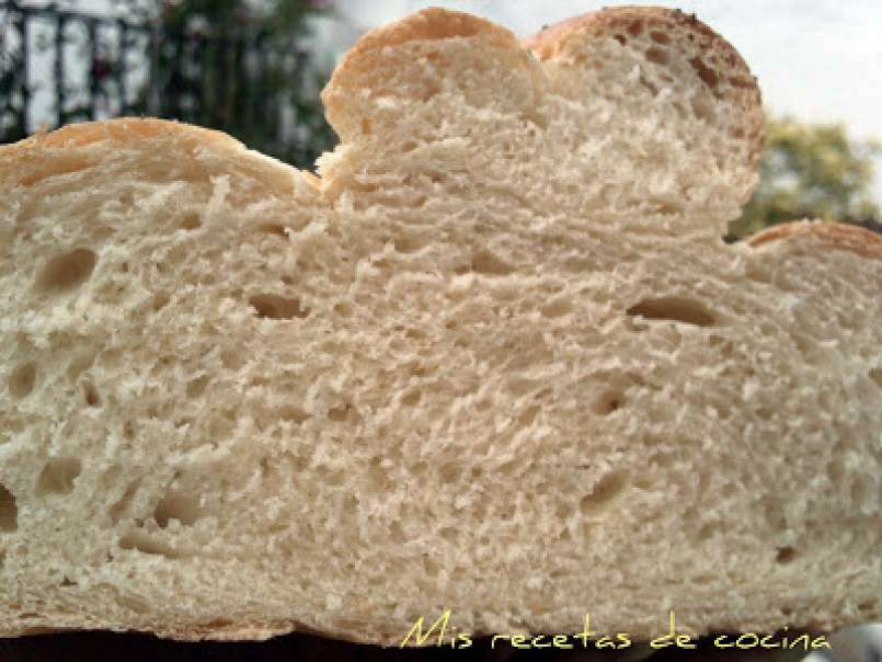 Pan del pastor - foto 4