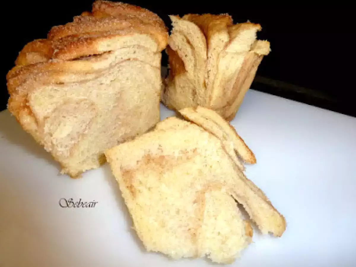 PAN DULCE DE CANELA EN LAMINAS (panificadora y horno) - foto 8