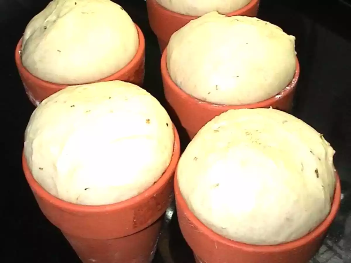 Pan en Maceta a las Finas Hierbas