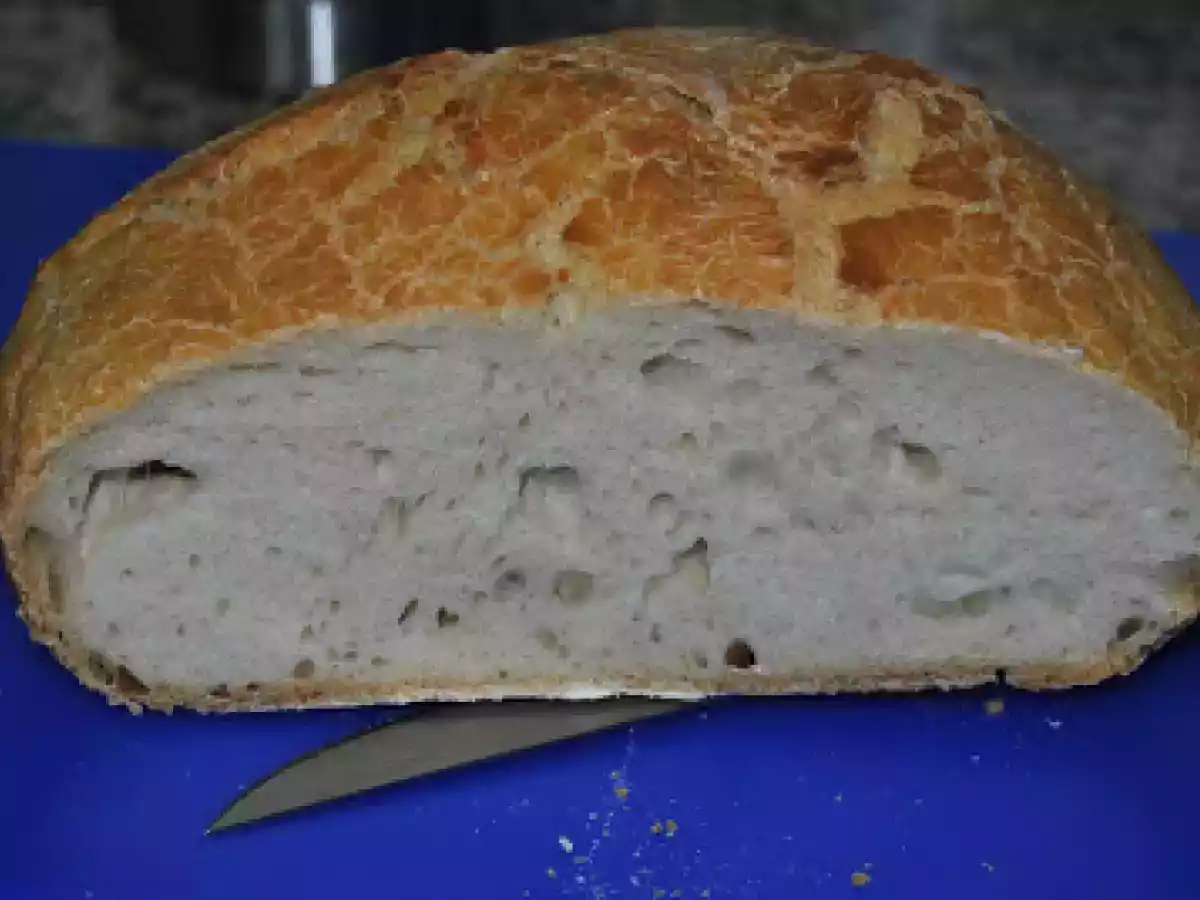 Pan En Pirex Con Masa Madre - foto 3