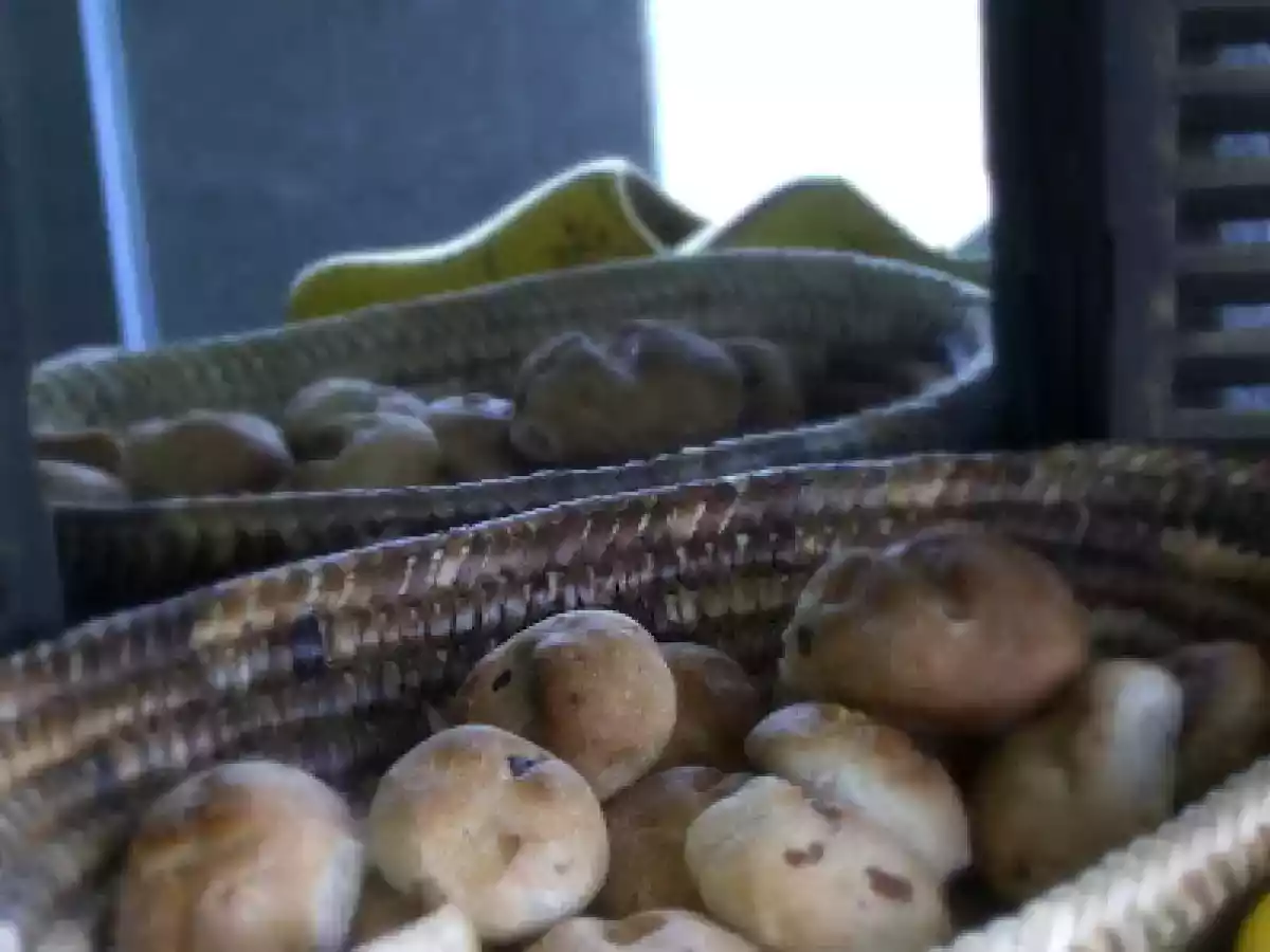 Pan holandés o Pausenbrötli - foto 2