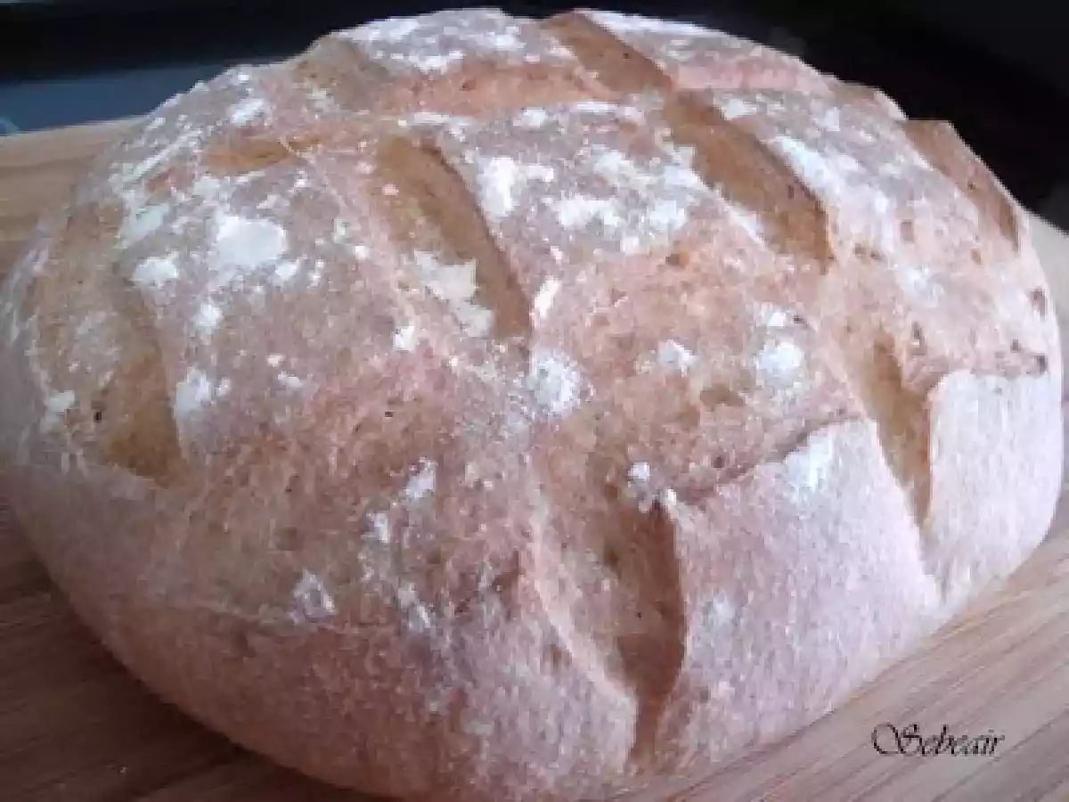 PAN INTEGRAL (panificadora y horno)