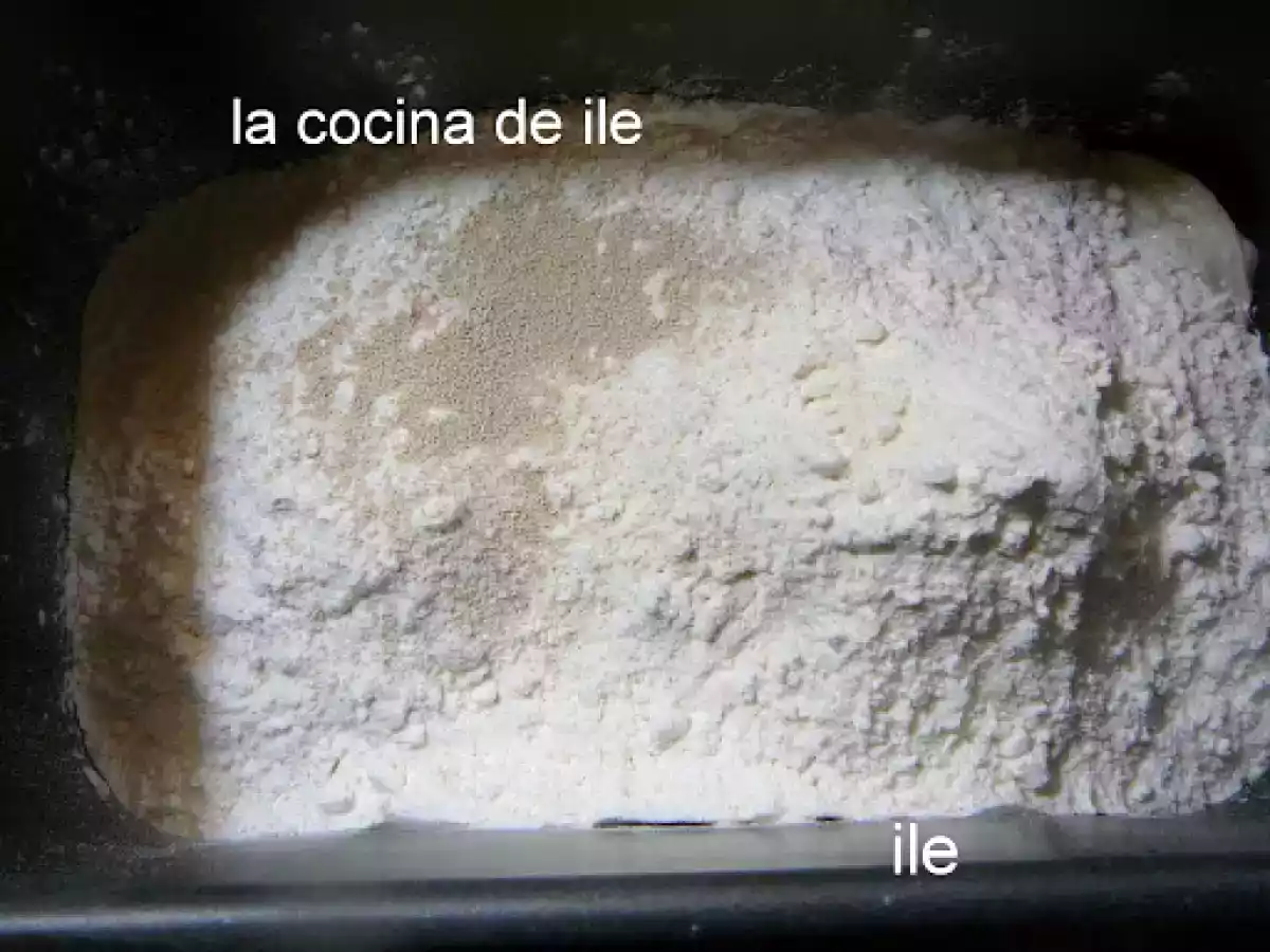 Pan Michette - pain michette - foto 11