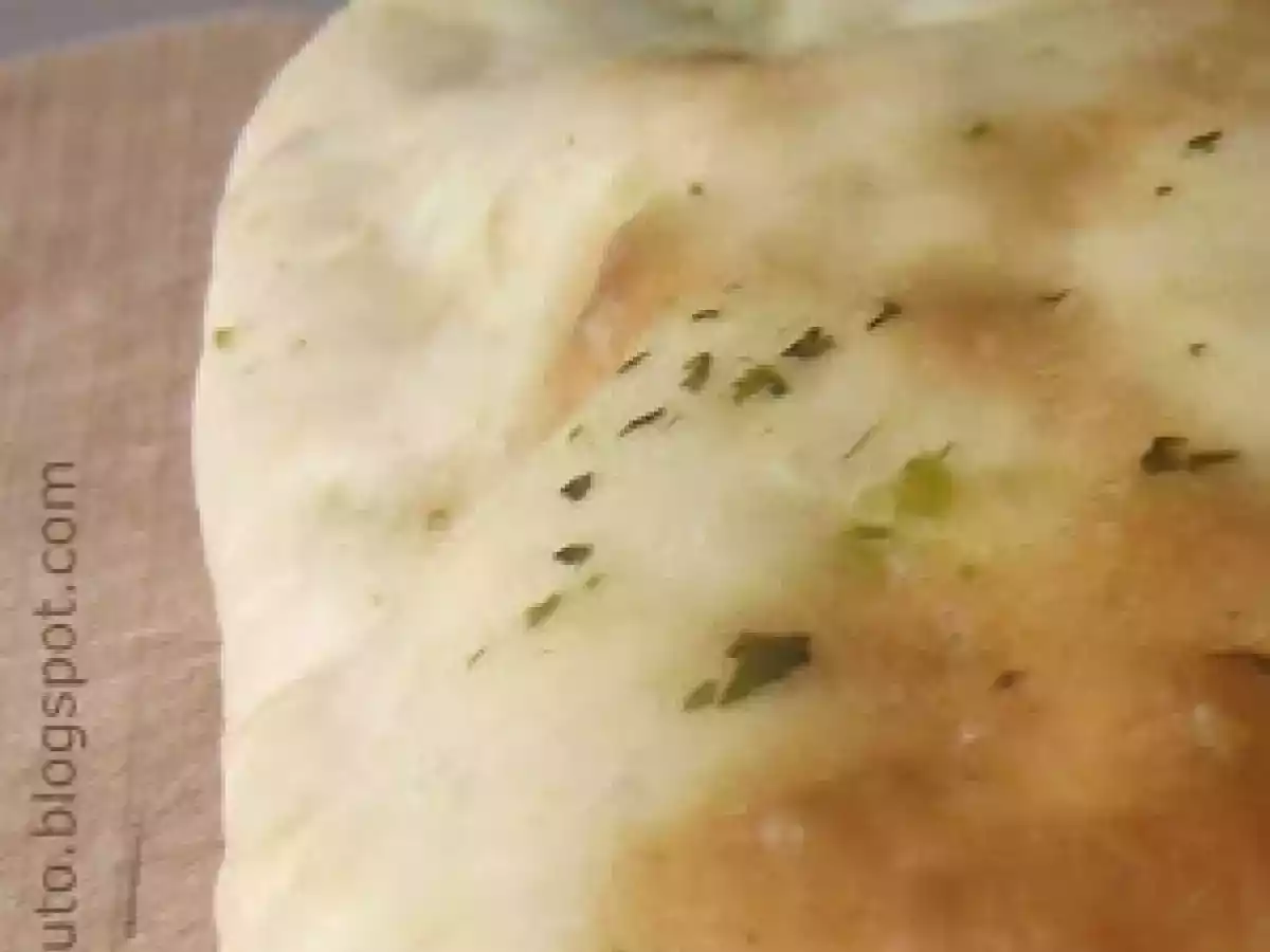 Pan naan con yogur y ajo - foto 4