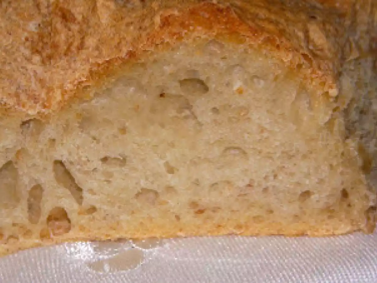 PAN RÚSTICO AROMÁTICO (XAVIER BARRIGA)