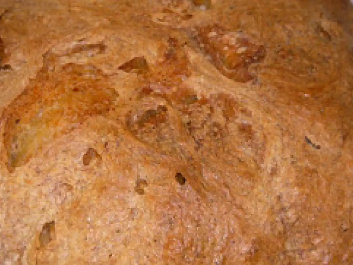 PAN RÚSTICO AROMÁTICO (XAVIER BARRIGA) - foto 3