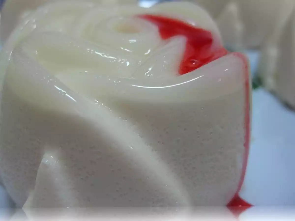 Panacotta de Leche de Coco