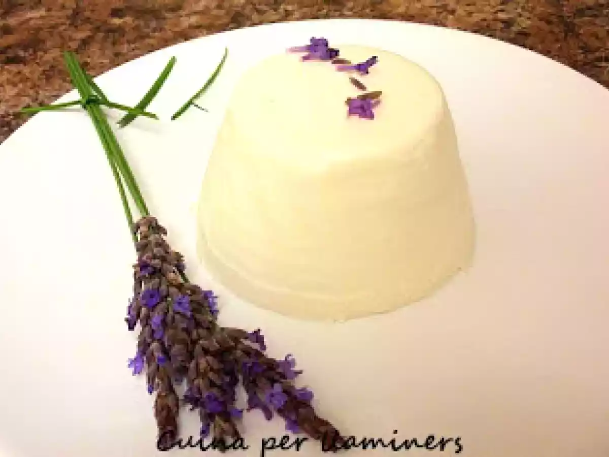 Panna cotta de lavanda