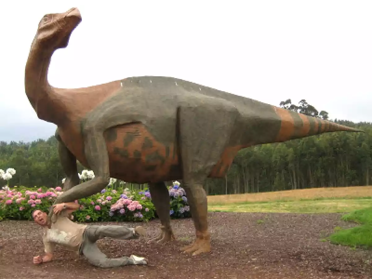 PANTORRILLAS DE PAVO A LA MOSTAZA ANTIGUA - foto 4