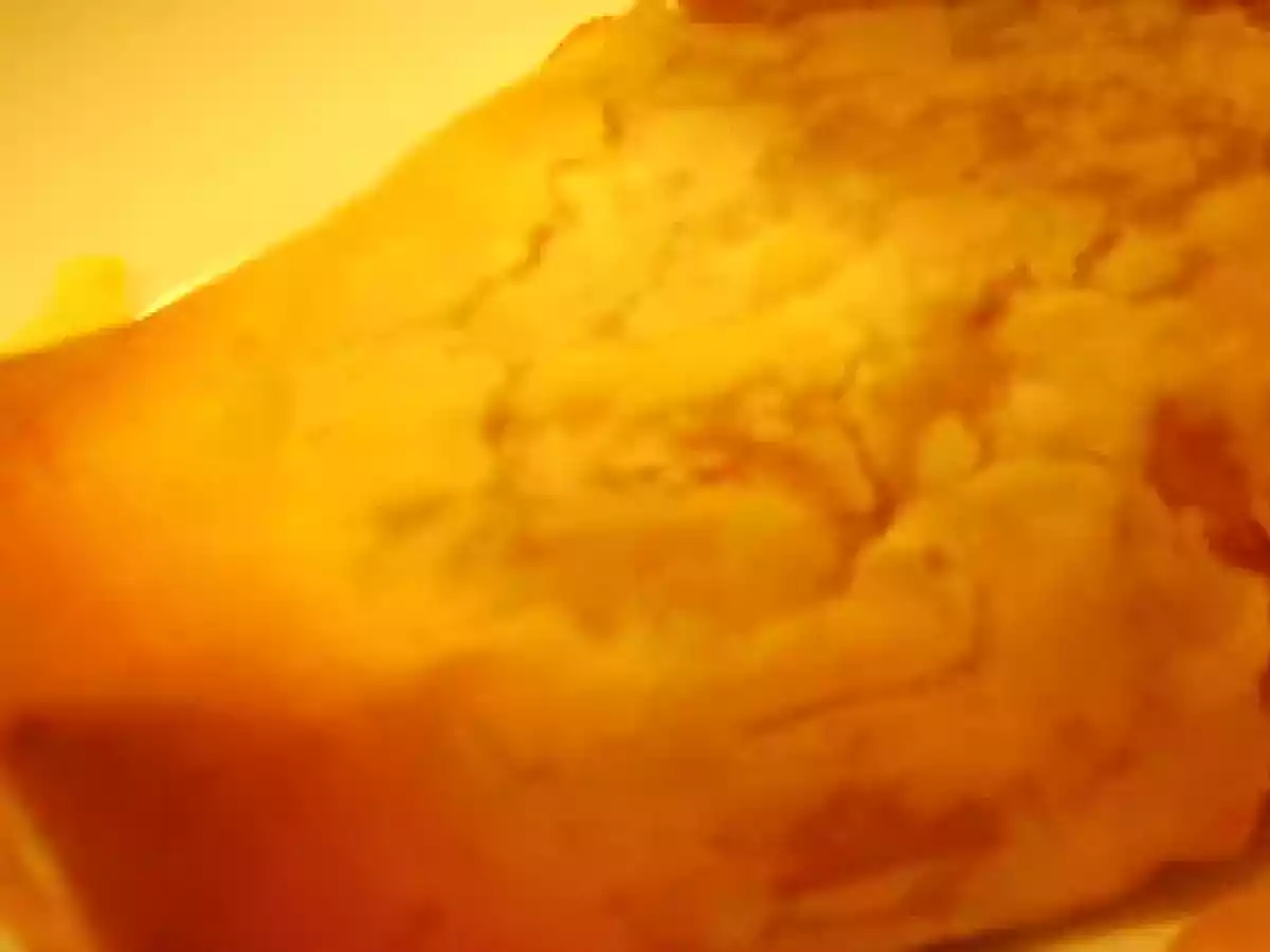 Pasta Filo Rellena Salmón Con Salsa De Piquillos