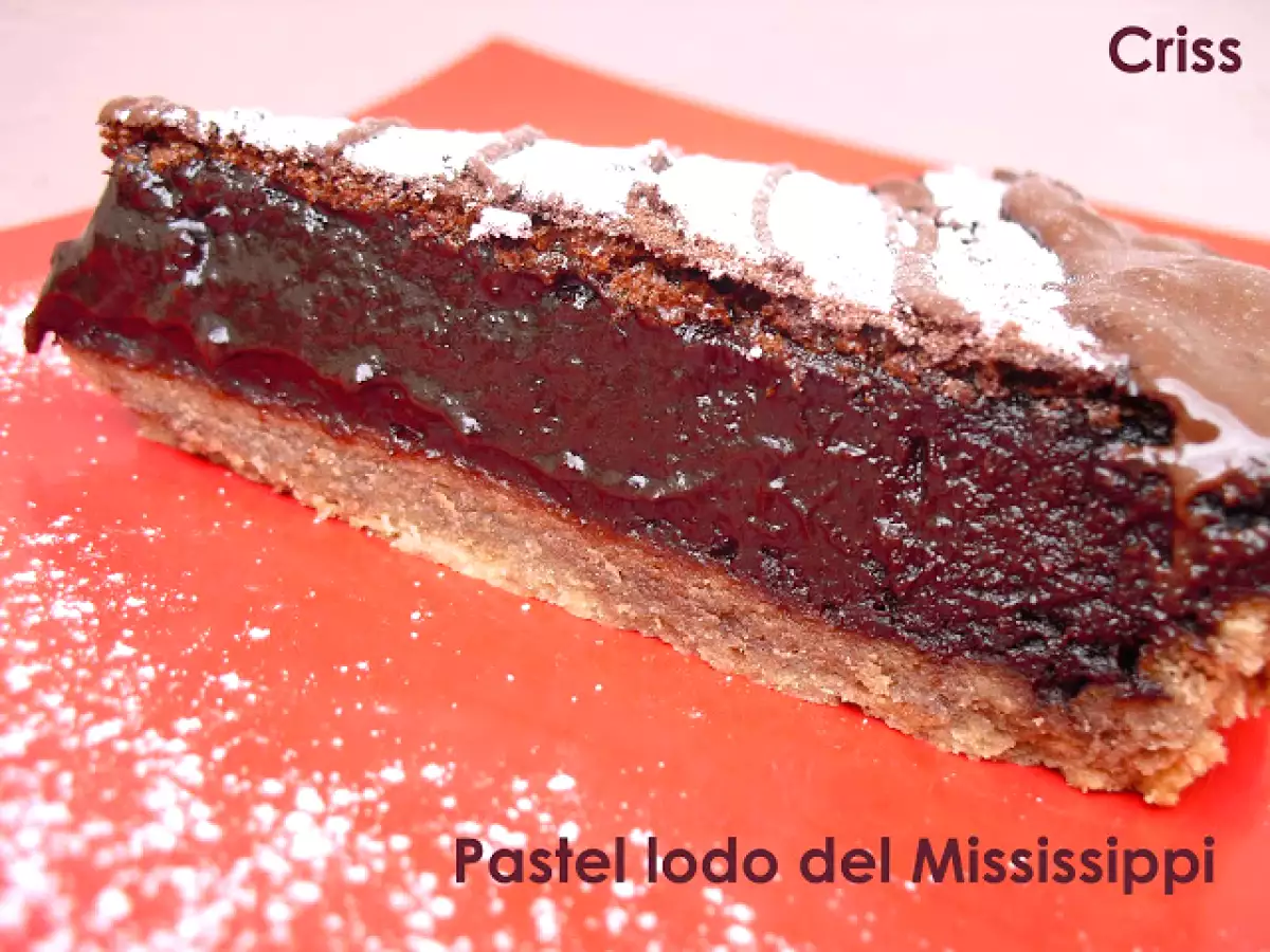 PASTEL LODO DEL MISSISSIPPI - foto 2