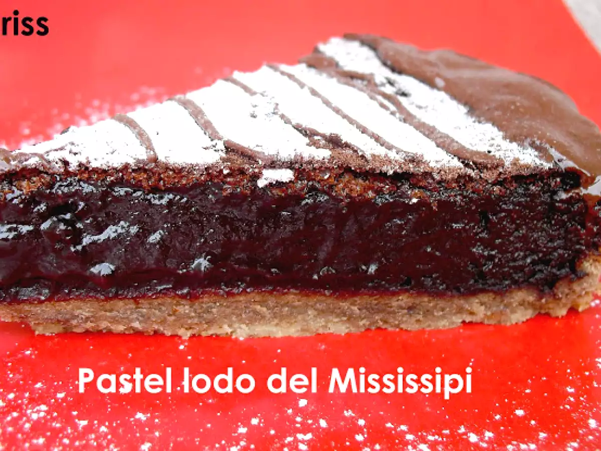 PASTEL LODO DEL MISSISSIPPI - foto 5