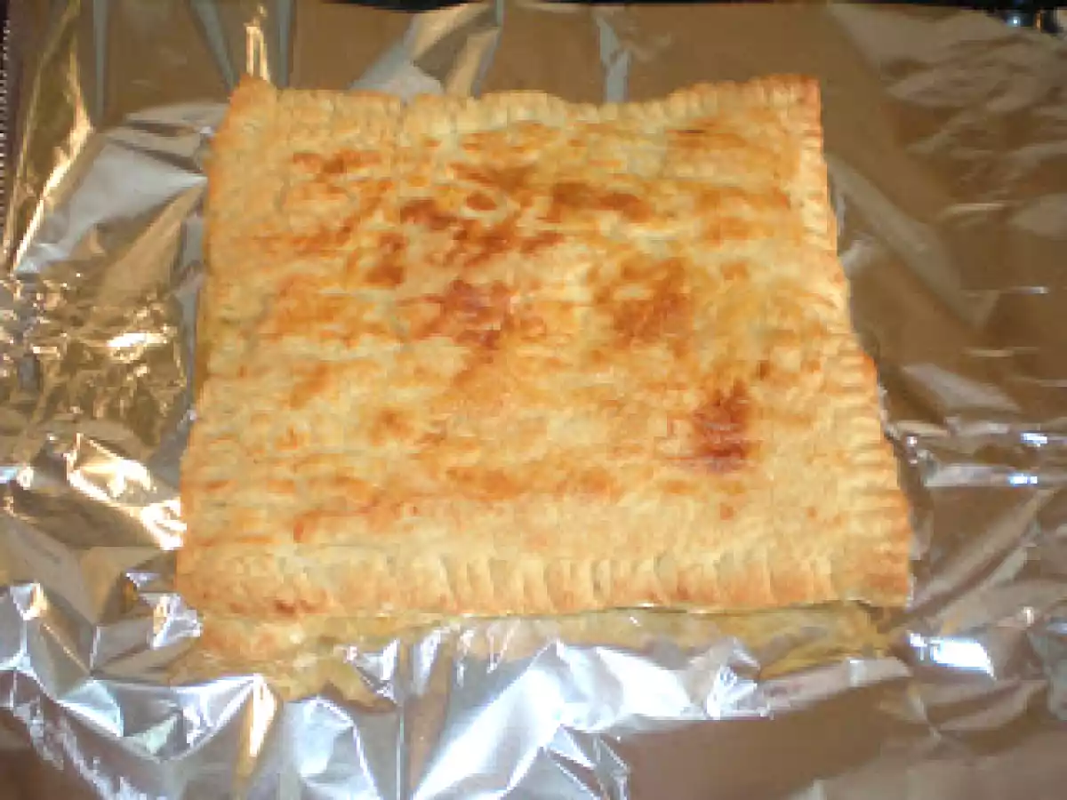 Pastela moruna - foto 7