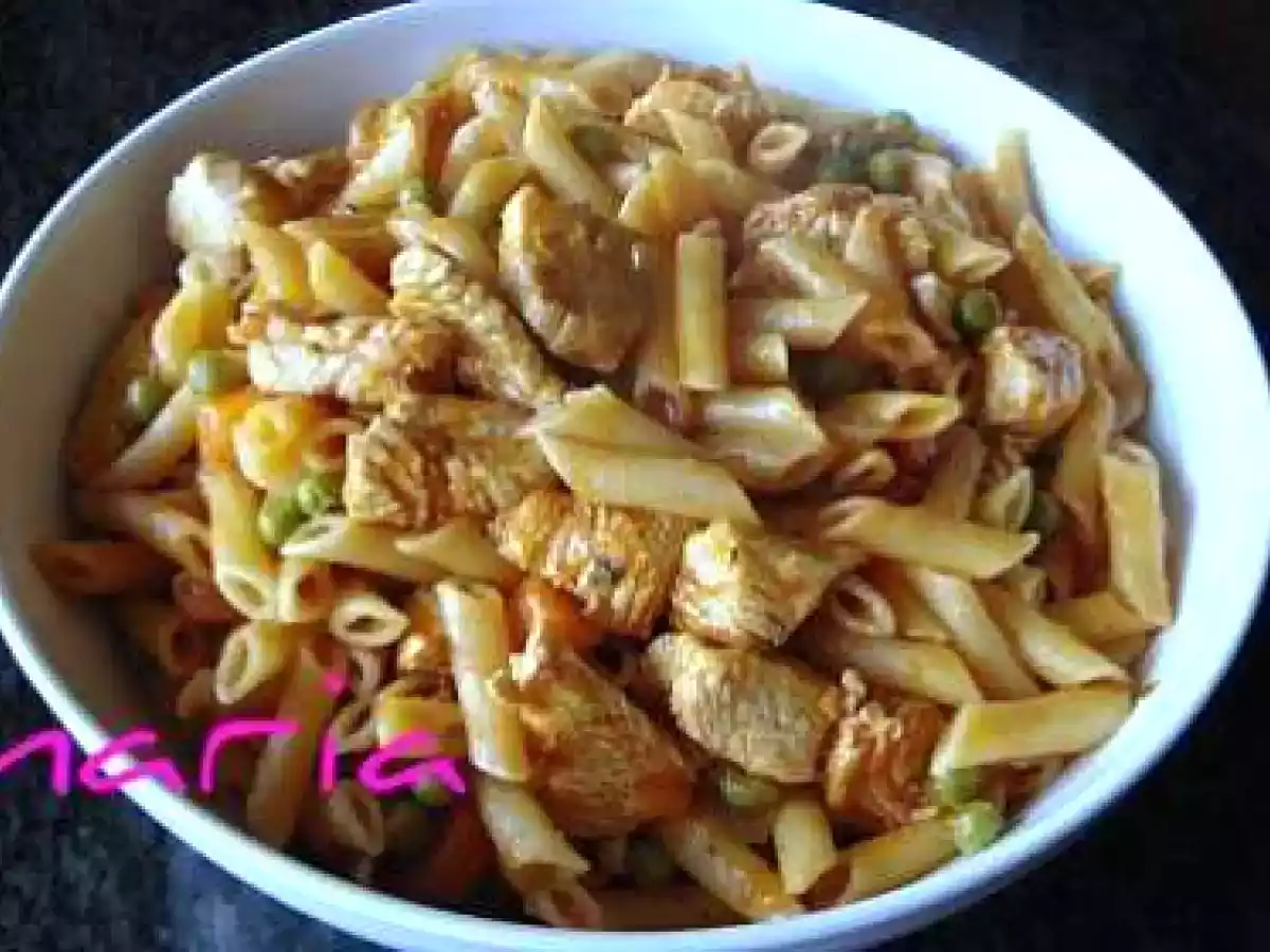 Pavo guisado con macarrones